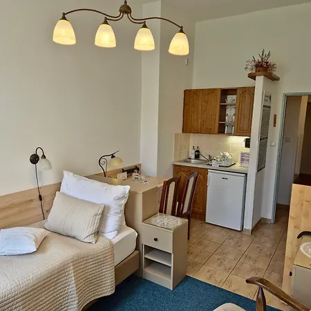Hotel U Ruze 4*
