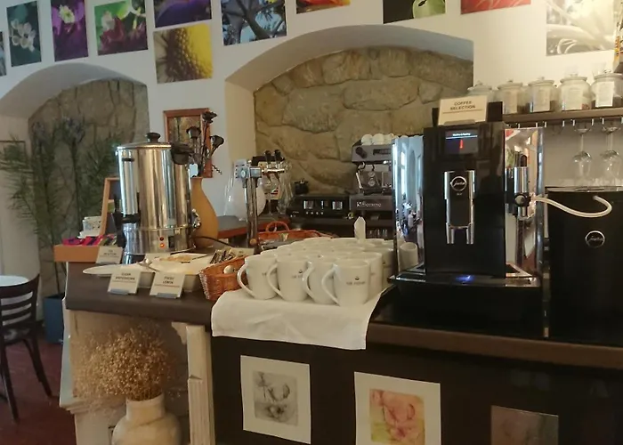 Hotel U Růže 4*