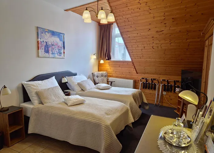 Hotel U Růže 4*