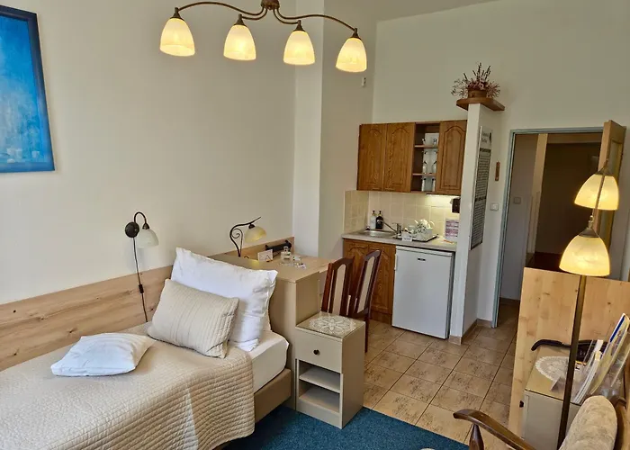 Hotel U Růže 4*